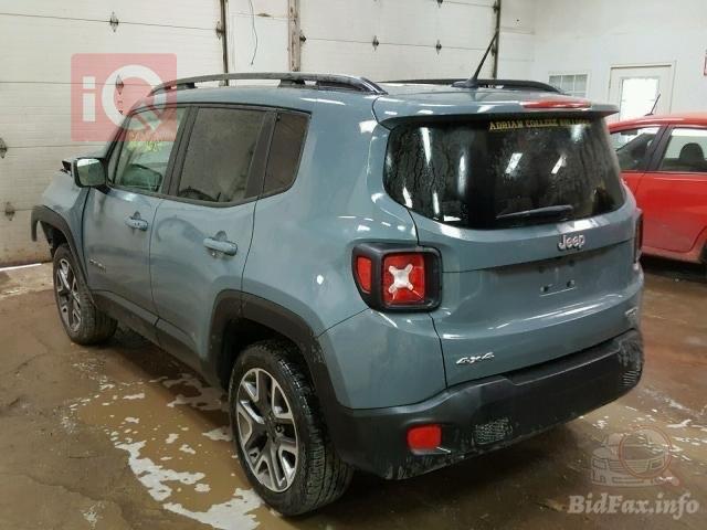 جيب رينيجيد